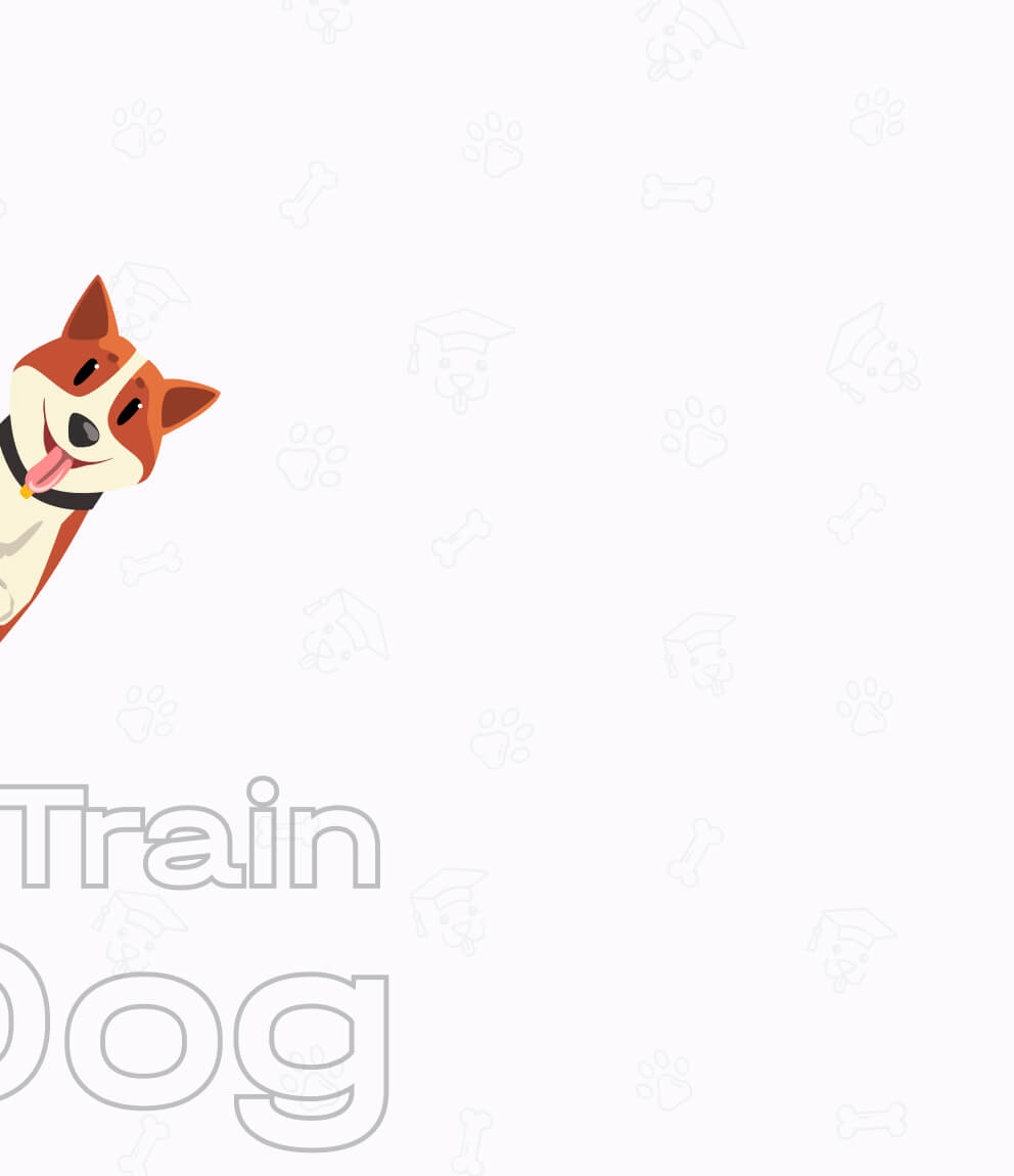 eTrain Dog